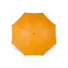 Conway Tumnagel bild 4