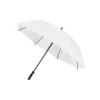 Bristol Tumnagel bild 4