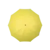 Rochester Tumnagel bild 10