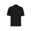 St. Mellion Polo Tumnagel bild 2