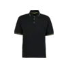 St. Mellion Polo Tumnagel bild 1