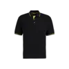 St. Mellion Polo Tumnagel bild 4