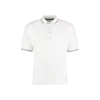 St. Mellion Polo Tumnagel bild 7