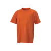 Ringspunnen Barn T-shirt Tumnagel bild 9
