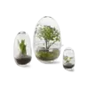 Grow Greenhouse Tumnagel bild 1