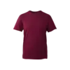 Anthem Premium T-shirt ECO Unisex Tumnagel bild 1