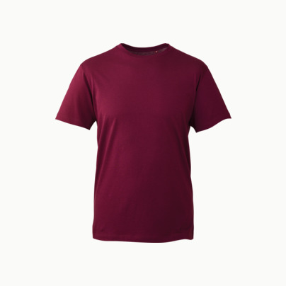 ANTHEM Premium T-shirt - Med tryck