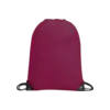 Gilt Gymsac Tumnagel bild 2