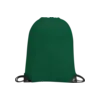 Gilt Gymsac Tumnagel bild 4