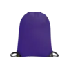 Gilt Gymsac Tumnagel bild 12