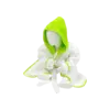 Badrock Baby Tumnagel bild 15