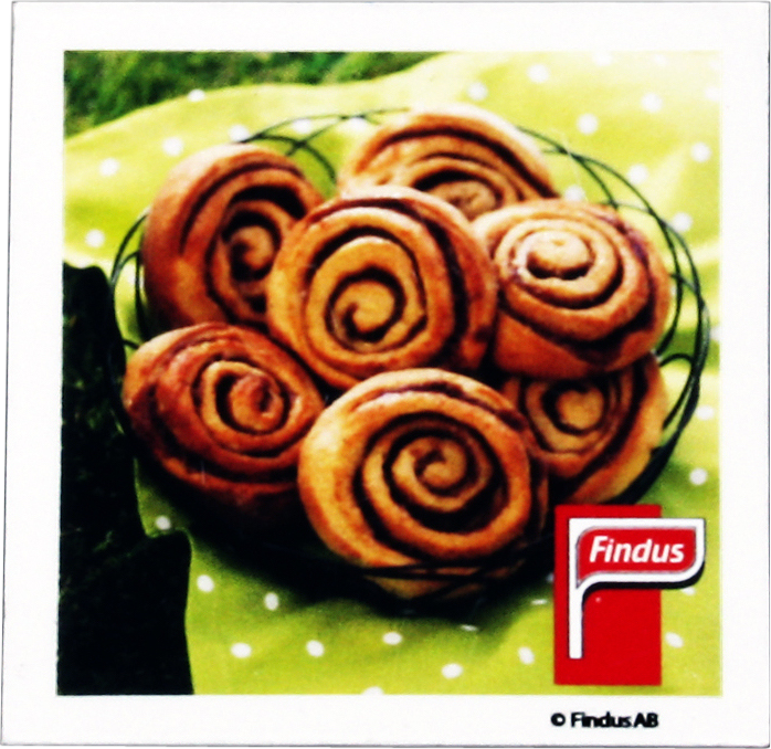 Rakskuren Kylskåpsmagnet Bild 1